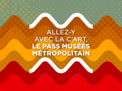 C'ART Lille Pass Musées (CityPass)